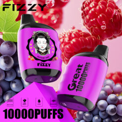 Fizzy-Great-10000-Puffs-2-5-Low-Nicotine-Rechargeable-Disposable-Vapes-Watermelon-Raspberry Grape