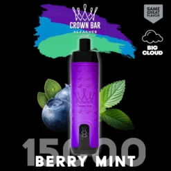 ALFakher-15000-berry-mint