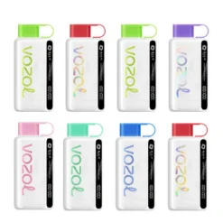 Vozol Star 12000 Puffs Nicotine Buy Original Authentisch Rechargeable Disposable Vapes Pen